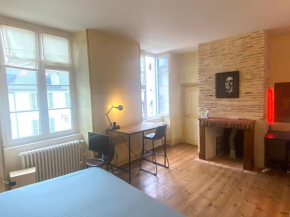 FLOYDHOM'S Pau Appartement entier 4 jours minimum 100m2 proche château